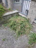 /album/fotogalerie/whatsapp-image-2025-06-26-at-17-36-44-2-jpeg/